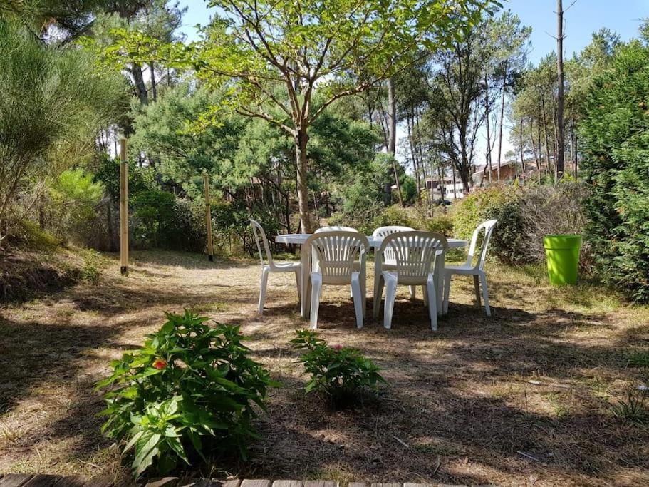 Maison A 300M De La Plage Villa Moliets-et-Maa Bagian luar foto